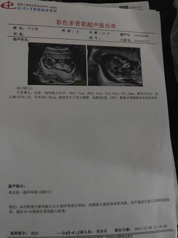 journal_insert_pic_1676942641