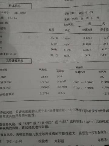 journal_insert_pic_1677615087