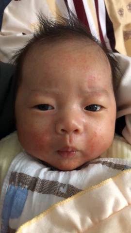 journal_insert_pic_1689562386