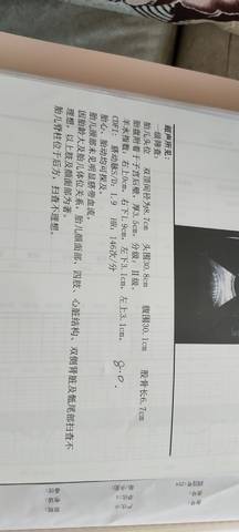 journal_insert_pic_1686810855
