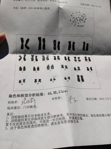 journal_insert_pic_1682471229