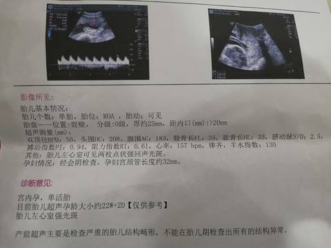journal_insert_pic_1740890891