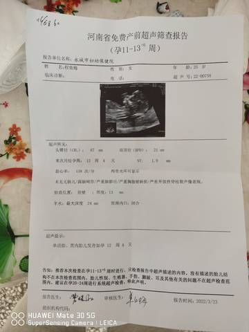 journal_insert_pic_1740828313