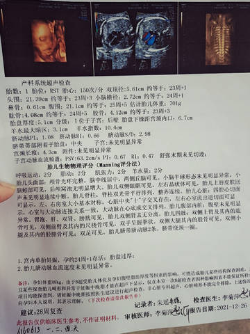 journal_insert_pic_1686409489