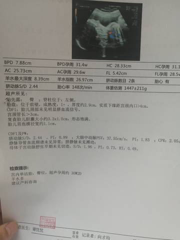 journal_insert_pic_1682403321