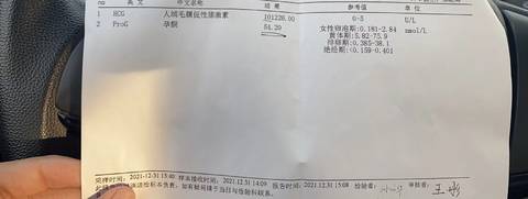 journal_insert_pic_1689744747