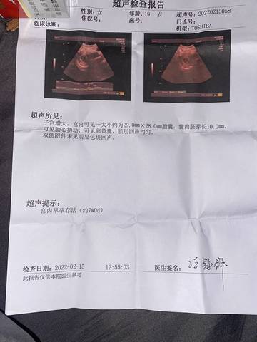 journal_insert_pic_1719441078