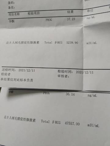 journal_insert_pic_1682250971