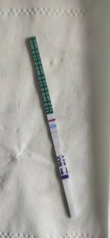 journal_insert_pic_1687926681