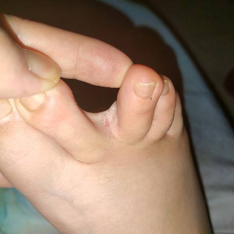 journal_insert_pic_1683902819