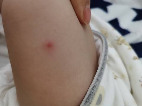 journal_insert_pic_1686660631