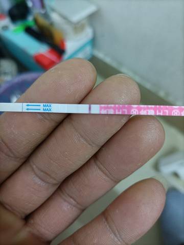 journal_insert_pic_1678225975