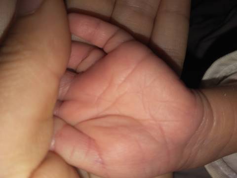 journal_insert_pic_1678726762