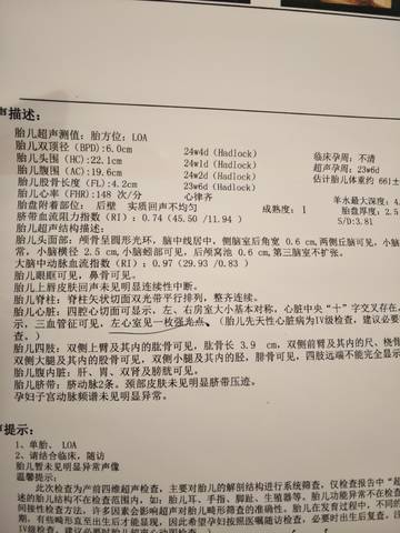 journal_insert_pic_1684060667