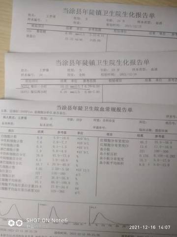 journal_insert_pic_1683286389