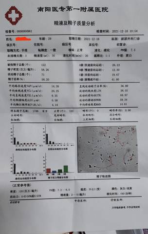 journal_insert_pic_1687301018