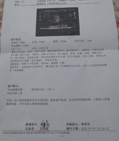 journal_insert_pic_1690481104