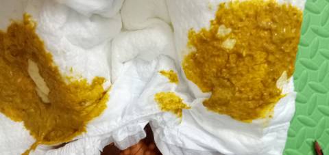 journal_insert_pic_1684165707