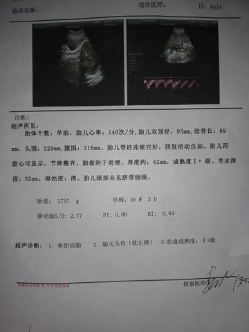journal_insert_pic_1687883131