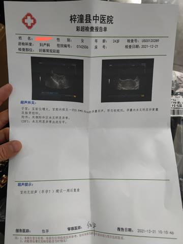 journal_insert_pic_1683500734