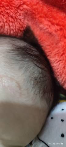 journal_insert_pic_1685012462