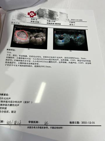 journal_insert_pic_1689752521