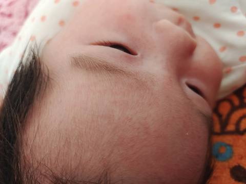 journal_insert_pic_1683101757