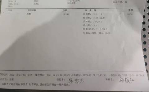 journal_insert_pic_1685351028