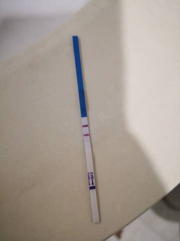 journal_insert_pic_1679423164