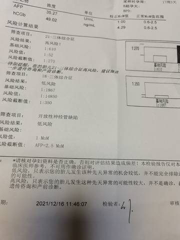 journal_insert_pic_1681023475