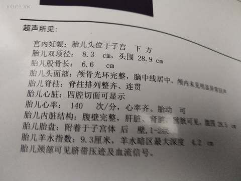 journal_insert_pic_1676280817
