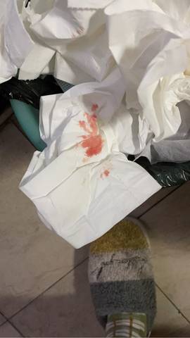 journal_insert_pic_1681626662