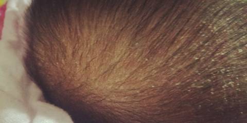 journal_insert_pic_1674381851