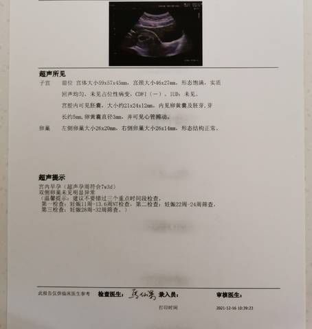 journal_insert_pic_1681630613