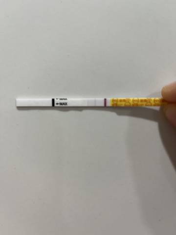 journal_insert_pic_1682611325