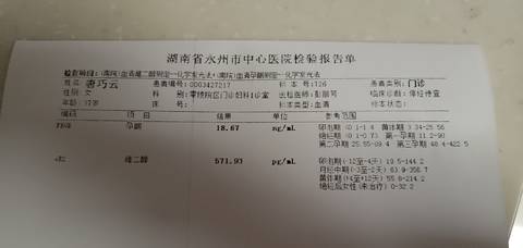 journal_insert_pic_1681170178