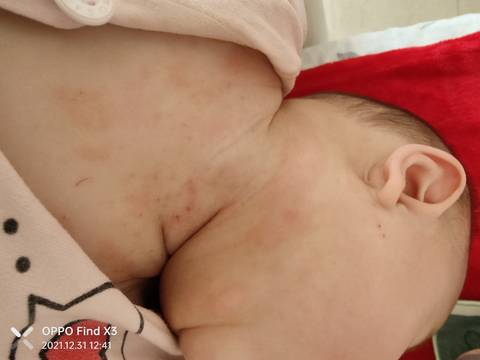 journal_insert_pic_1689529150