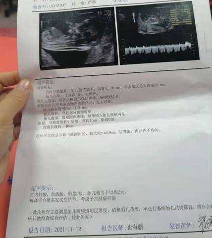 journal_insert_pic_1686644457