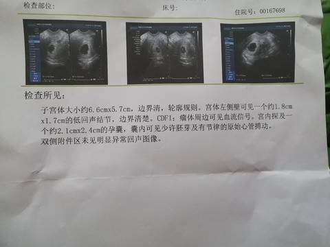 journal_insert_pic_1687957026