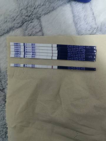 journal_insert_pic_1683163029