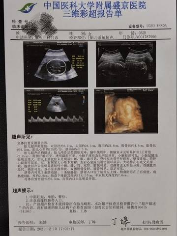 journal_insert_pic_1681062128