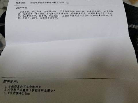 journal_insert_pic_1683127396