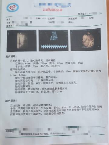 journal_insert_pic_1675086432