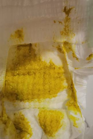 journal_insert_pic_1683482969