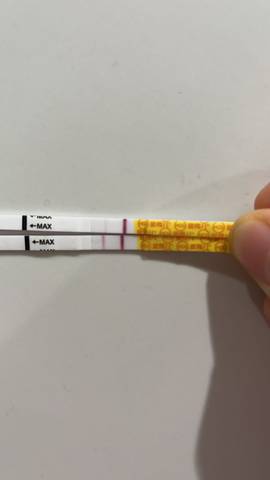 journal_insert_pic_1682621657