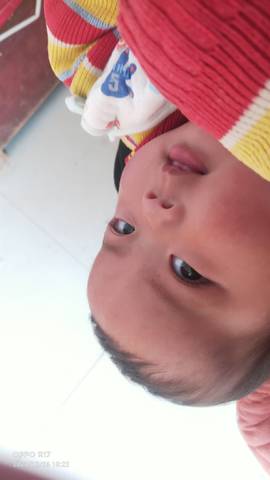 journal_insert_pic_1686465564