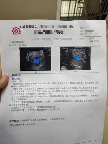 journal_insert_pic_1684165989