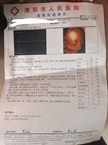 journal_insert_pic_1688986315