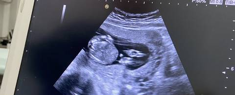 journal_insert_pic_1676447244