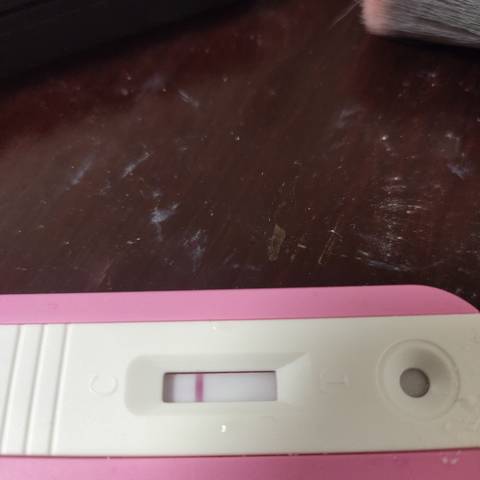journal_insert_pic_1740853189